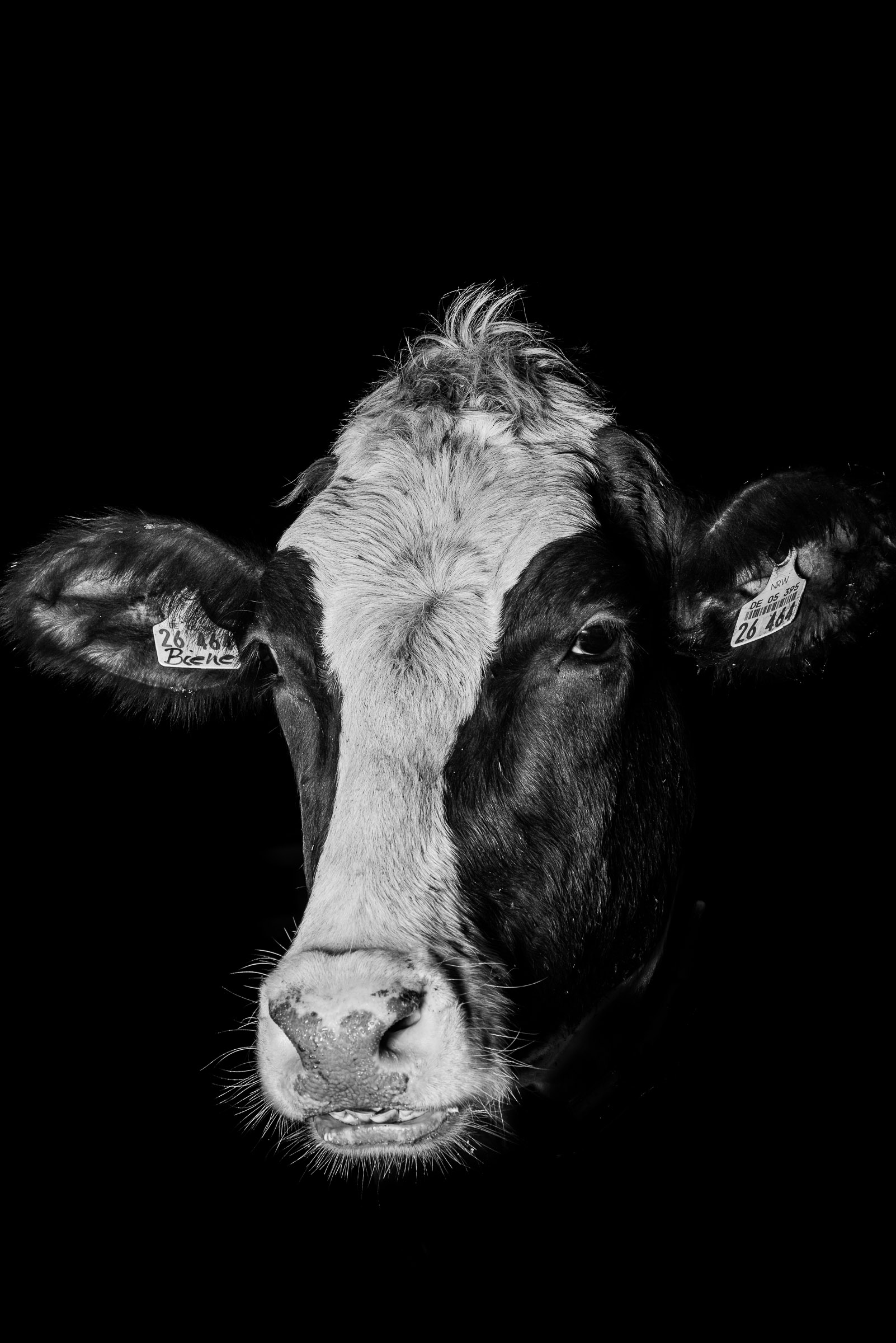 Artistic portrait photography