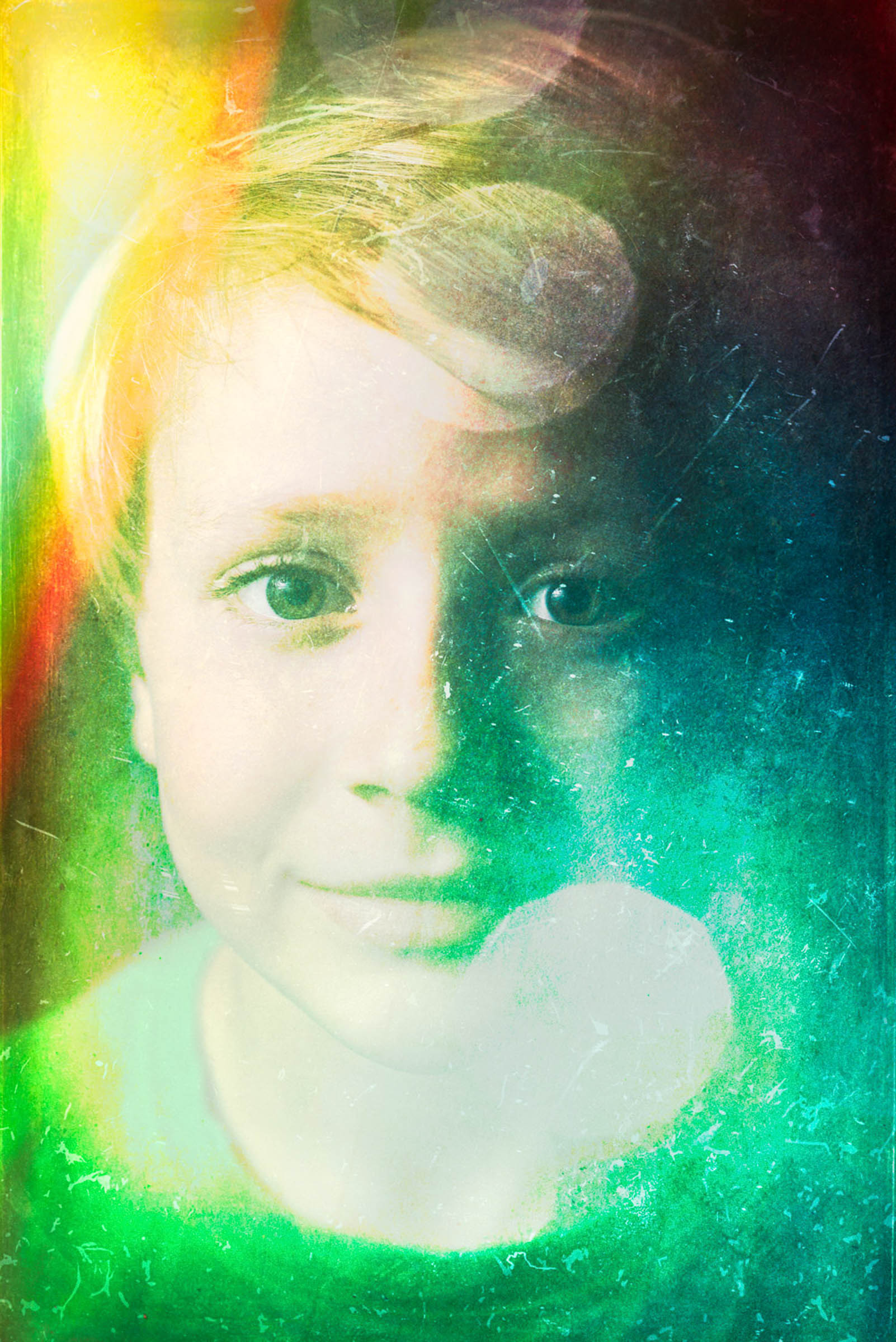 Stylised portrait of a pet